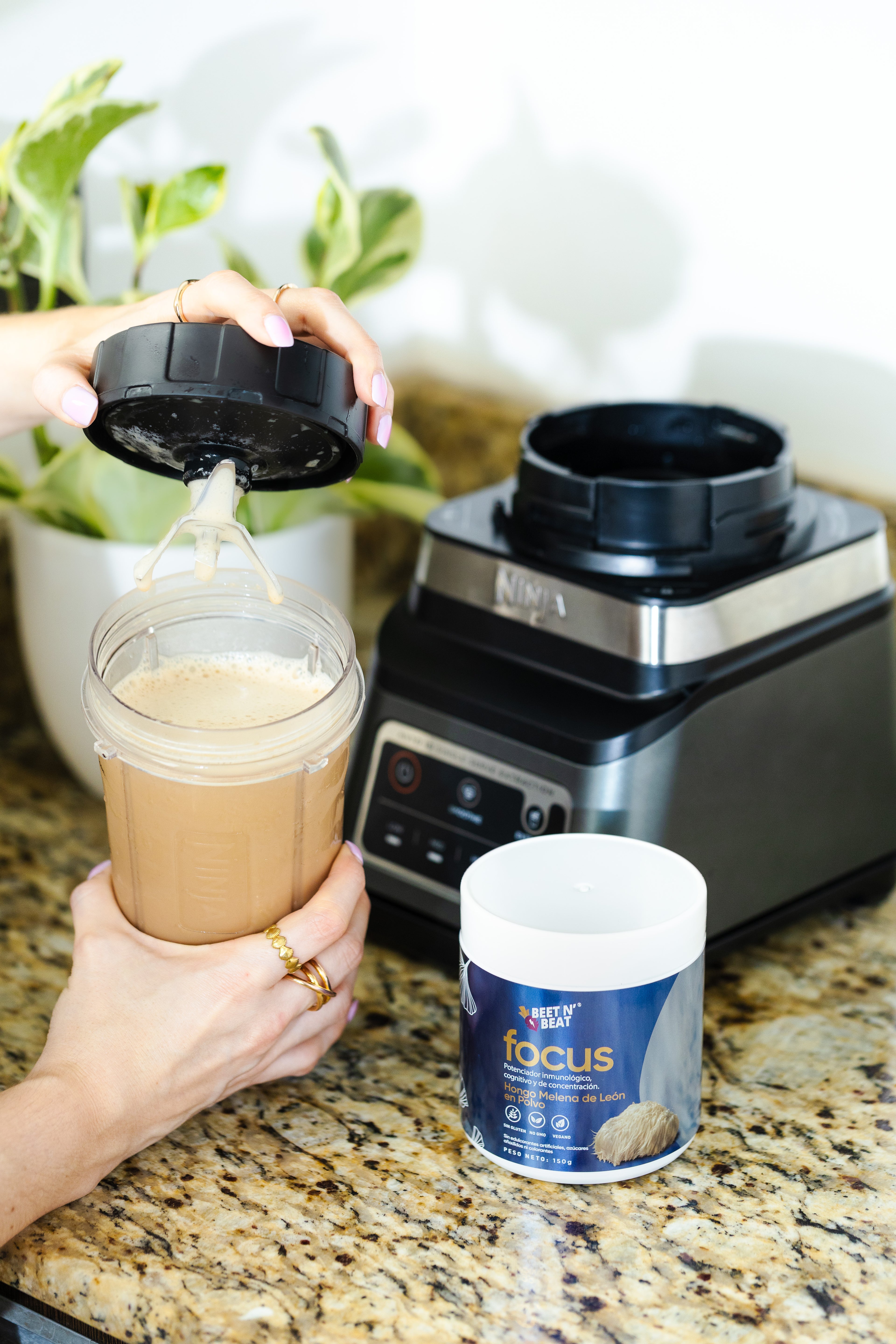 Hongo Melena de León en Polvo Beet N' Beat