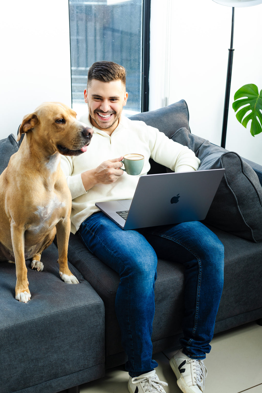 Hongo Melena de León en Polvo Beet N' Beat